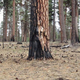 Illustration for article titled People turn invisible in these awesome body paint photographs (NSFW)